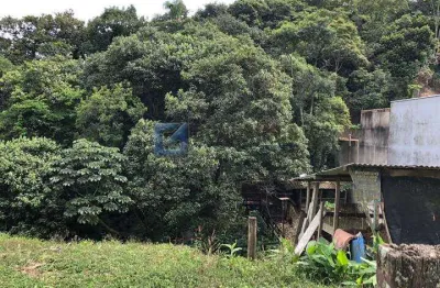 Terreno Comercial 1.175 m² em São Bernardo do Campo - Parque dos Imigrantes