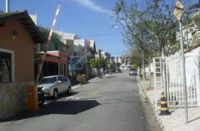 Casa com 4 quartos para alugar na rua nicola spinelli, nova petrópolis, são bernardo do campo, 259 m2 por r$ 7.700