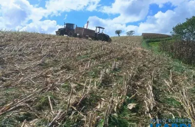Chácara / sítio à venda em Santana de Caldas, Caldas 
