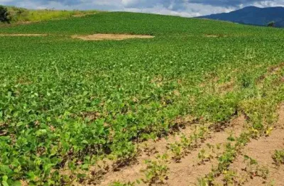 Chácara / sítio com 1 quarto à venda no Centro, Caldas 