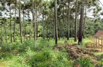 Chácara / sítio à venda na Área Rural de Poços de Caldas, Poços de Caldas 