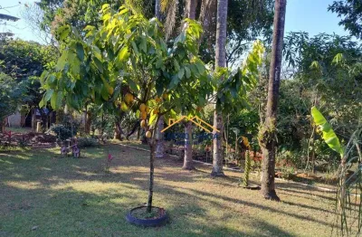 Terreno à venda, 1000 m² por R$ 405.000,00 - Residencial Vale dos Lírios - Nova Odessa/SP