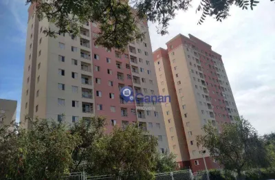 Apartamento 3 dormitórios  para locação ou venda no parque itália em campinas hospital mário gatti.