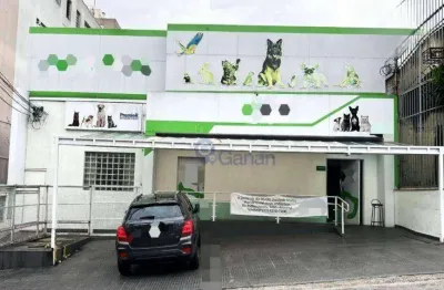 Casa, 257 m² - venda por R$ 3.200.000,00 ou aluguel por R$ 15.500,00/mês - Moema - São Paulo/SP