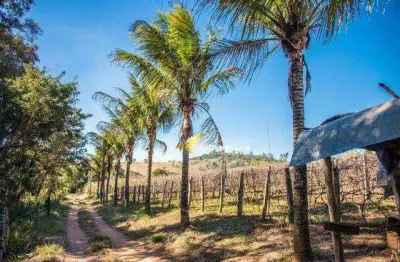 Chácara / sítio com 4 quartos à venda na Rodovia Dom Pedro I, Jardim Brogotá, Atibaia