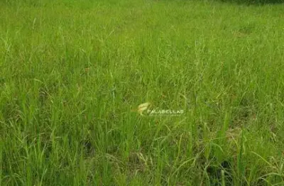 Terreno à venda, 590 m² por r$ 744.000,00 - parque da represa - jundiaí/sp