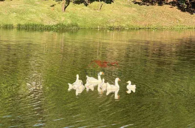 Terreno à venda, 300 m² por r$ 436.000 - condomínio residencial milano - indaiatuba/sp