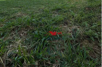 Terreno com 581,50m² à venda no novíssimo residencial santa maria em indaiatuba sp