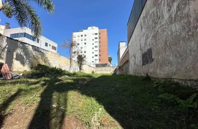 Terreno à venda na Rua Bento Viana, 0, Água Verde, Curitiba
