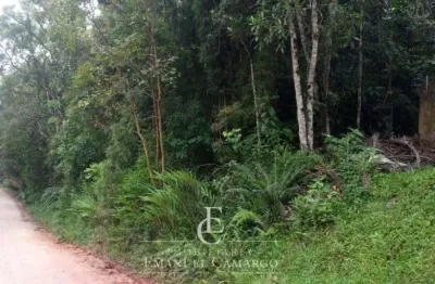 Chácara / sítio à venda na Rua João Batista de Souza Maceno, 0, Loteamento Chácara Chantecler, Piraquara