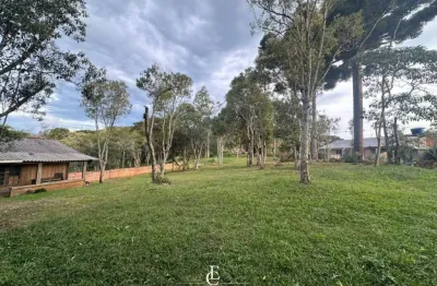Chácara / sítio com 2 quartos à venda na Rua Antônio Brudeck, 207, Roça Nova, Piraquara