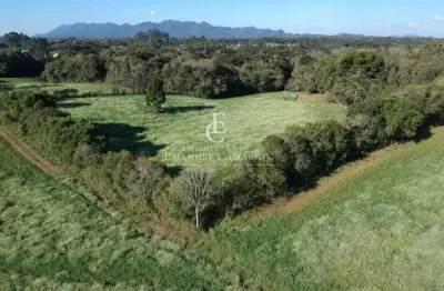 Chácara / sítio à venda na Rua Padre Phelippe Ledet, Planta Laranjeiras, Piraquara