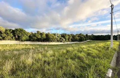 Terrenos à venda no loteamento campo belo - campo largo-pr
