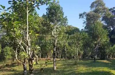 Chácara / sítio à venda na Rua Antônio Brudeck, Roça Nova, Piraquara