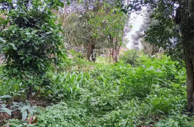 Terreno à venda na Rua Papa Paulo VI, Vila Santa Maria, Piraquara