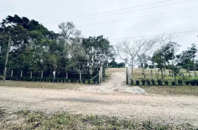 Chácara / sítio à venda na Rua Estefano Zaleski, Planta Granjas Eldorado, Piraquara