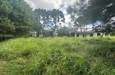 Chácara / sítio à venda na Rua Engenheiro José Gilberto Higino da Costa, Borda do Campo, Piraquara