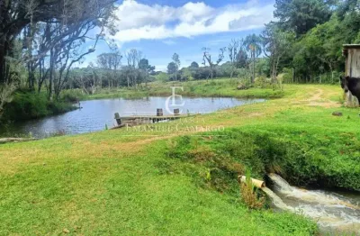 Chácara / sítio com 3 quartos à venda na Rua Antônio Brudeck, Roça Nova, Piraquara