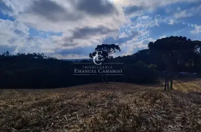 Chácara / sítio à venda na Rua Vicente Vidolin, Palmitalzinho, Quatro Barras