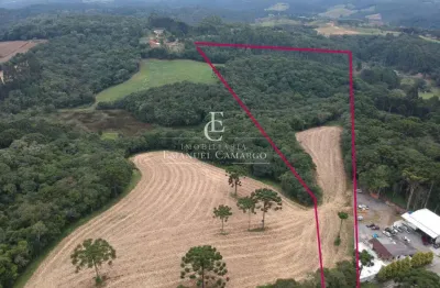 Chácara / sítio à venda na Rua Vicente Vidolin, Palmitalzinho, Quatro Barras
