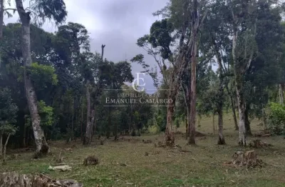 Chácara / sítio à venda na Rua Antônio Brudeck, Roça Nova, Piraquara
