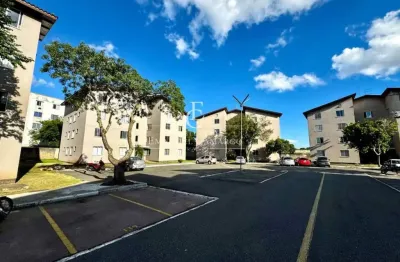 Apartamento com 2 quartos à venda na Alameda Arpo, Ouro Fino, São José dos Pinhais