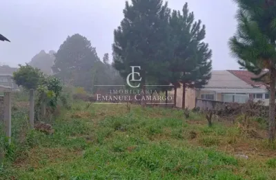 Terreno à venda na Rua da Paz, Planta Deodoro, Piraquara