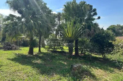 Chácara / sítio com 2 quartos à venda na Rua Angico, Vila Santa Maria, Piraquara