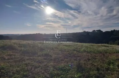 Terreno à venda na Rua Augusto Micrute, Borda do Campo, São José dos Pinhais