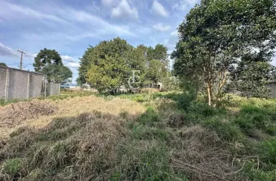 Terreno à venda na Rua Cinco, Águas Claras, Piraquara