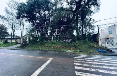 Terreno à venda na Rua Joan Elln Nowel, Vila Rosa, Piraquara