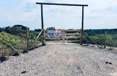 Chácara / sítio à venda na Rua João Fontana Pires, Colônia Santa Maria, Piraquara