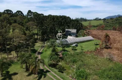 Chácara / sítio com 4 quartos à venda na Rua Nova Tirol, Colônia Santa Maria, Piraquara