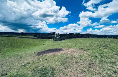 Chácara / sítio à venda na Rua Nova Tirol, Colônia Santa Maria, Piraquara
