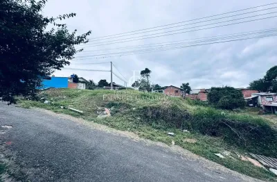 Terreno à venda na Rua Peroba, Vila Santa Maria, Piraquara