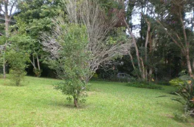 Terreno para empreendedor à venda, 6657 m² por r$ 5.326.000 - granja viana - cotia/sp