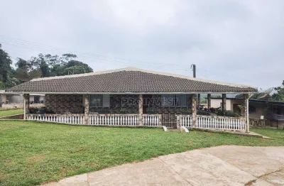 Sítio com 2 dormitórios à venda, 46000 m² por r$ 1.590.000,00 - chácara primavera - ibiúna/sp