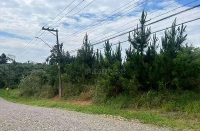 Área à venda, 4973 m² por r$ 3.500.000,00 - granja viana - cotia/sp