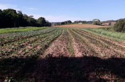 Área à venda, 26000 m² por r$ 1.040.000,00 - bairro dos mendes - cotia/sp