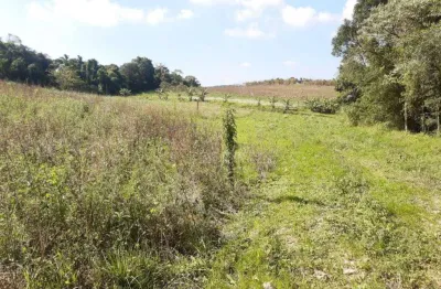 Área à venda, 26000 m² por R$ 1.040.000,00 - Bairro dos Mendes - Cotia/SP