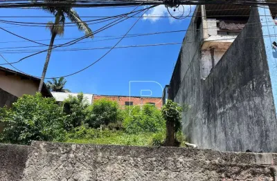 Terreno à venda, 250 m² por R$ 370.000,00 - Parque São George - Cotia/SP