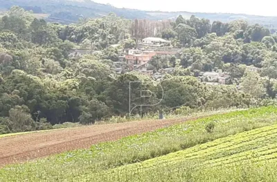 Área à venda, 39000 m² por r$ 870.000,00 - carmo messias - ibiúna/sp