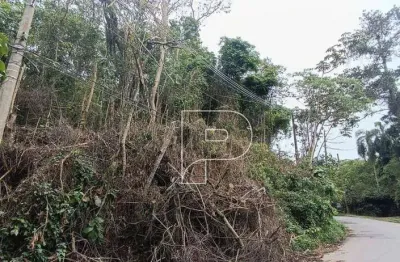 Terreno à venda, 6475 m² por r$ 1.300.000,00 - parque rincão - cotia/sp