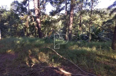 Terreno à venda, 7158 m² por R$ 1.360.000,00 - Taboleiro Verde - Cotia/SP