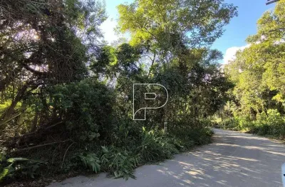 Terreno à venda, 23651 m² por R$ 2.500.000,00 - Paisagem Casa Grande - Cotia/SP