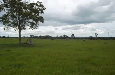 Área à venda para loteamento residencial, 196000 m² por r$ 74.500.000 - granja viana - cotia/sp
