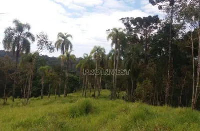 Área à venda, 21786 m² por r$ 1.633.750,00 - jardim nossa senhora das graças - cotia/sp