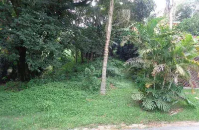 Terreno à venda, 560 m² por r$ 275.000,00 - granja carneiro viana - cotia/sp