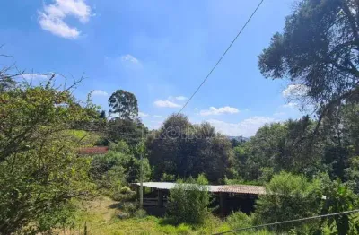 Sítio à venda, 82384 m² por r$ 3.500.001,00 - parque rizzo - cotia/sp