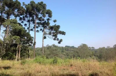 Área à venda, 2072 m² por r$ 2.128.000,00 - cotia - cotia/sp